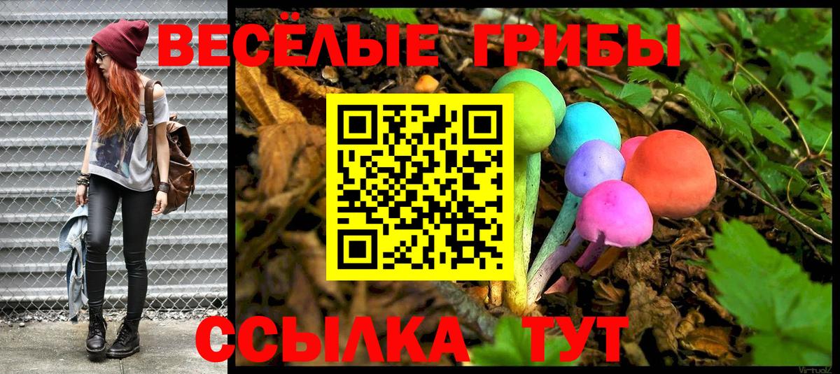 Галлюциногенные грибы Psilocybine cubensis  Вход с VPN  Барнаул 