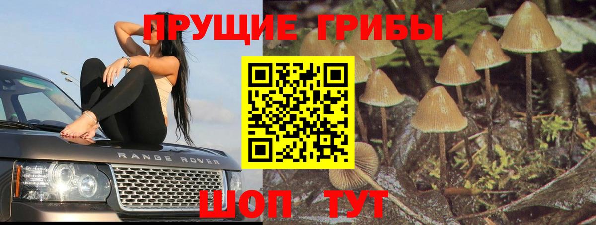 Галлюциногенные грибы Magic Shrooms Барнаул